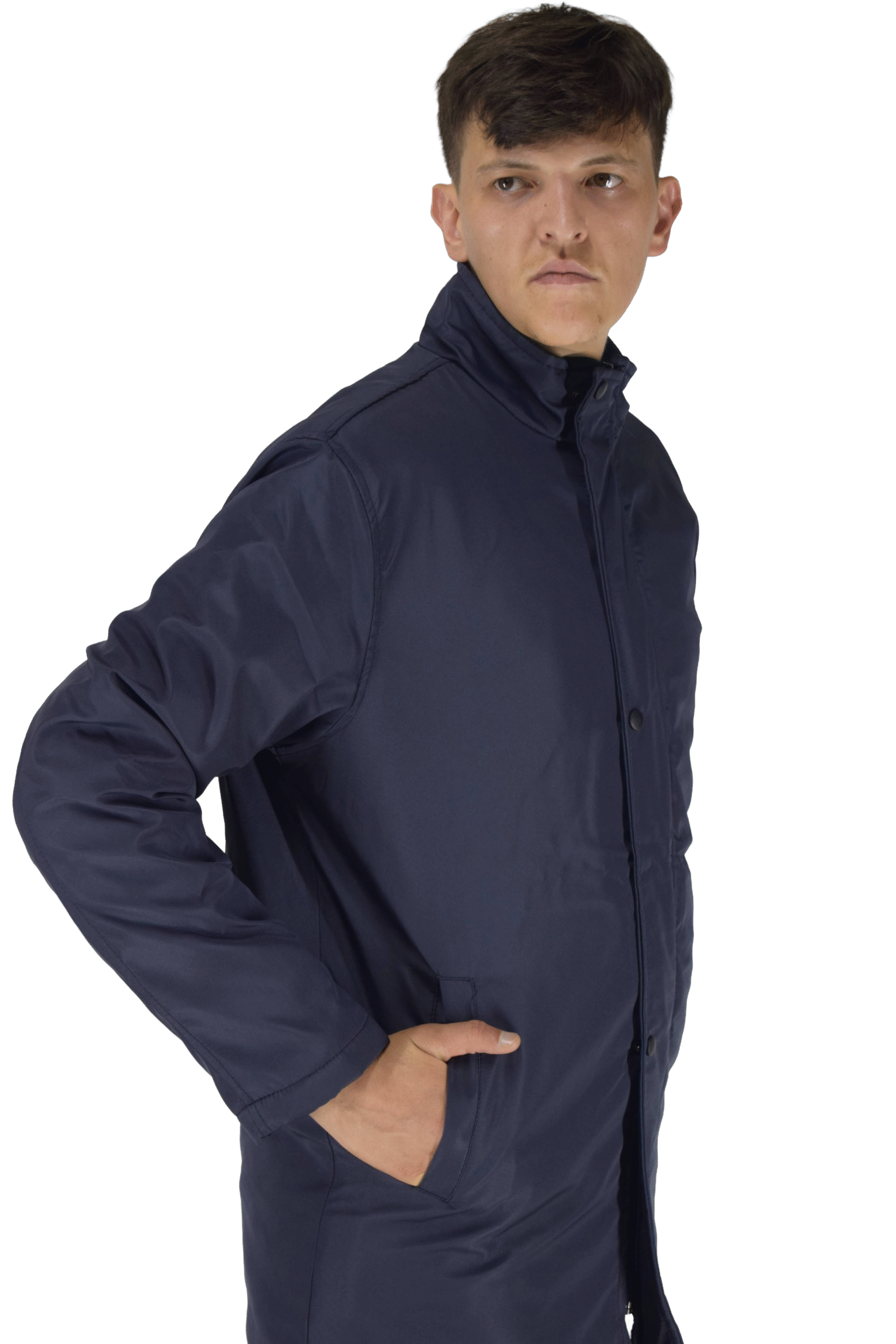 Remove background project (15)